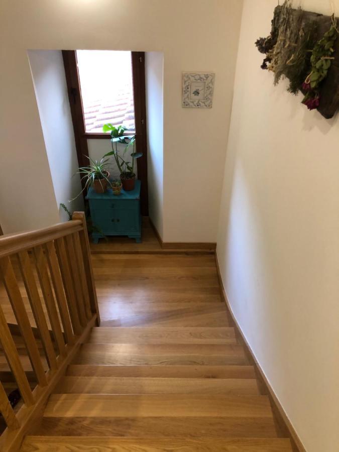 Maistraren Etxea Evi00179 *